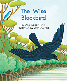 The Wise Blackbird - Ann Gadzikowski - Author and Educator